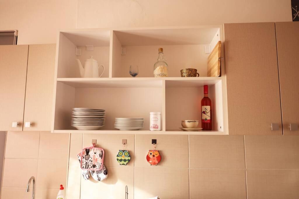 Viki Apartment Centar Nis Luaran gambar